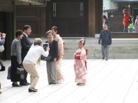 IMG_3513.JPG